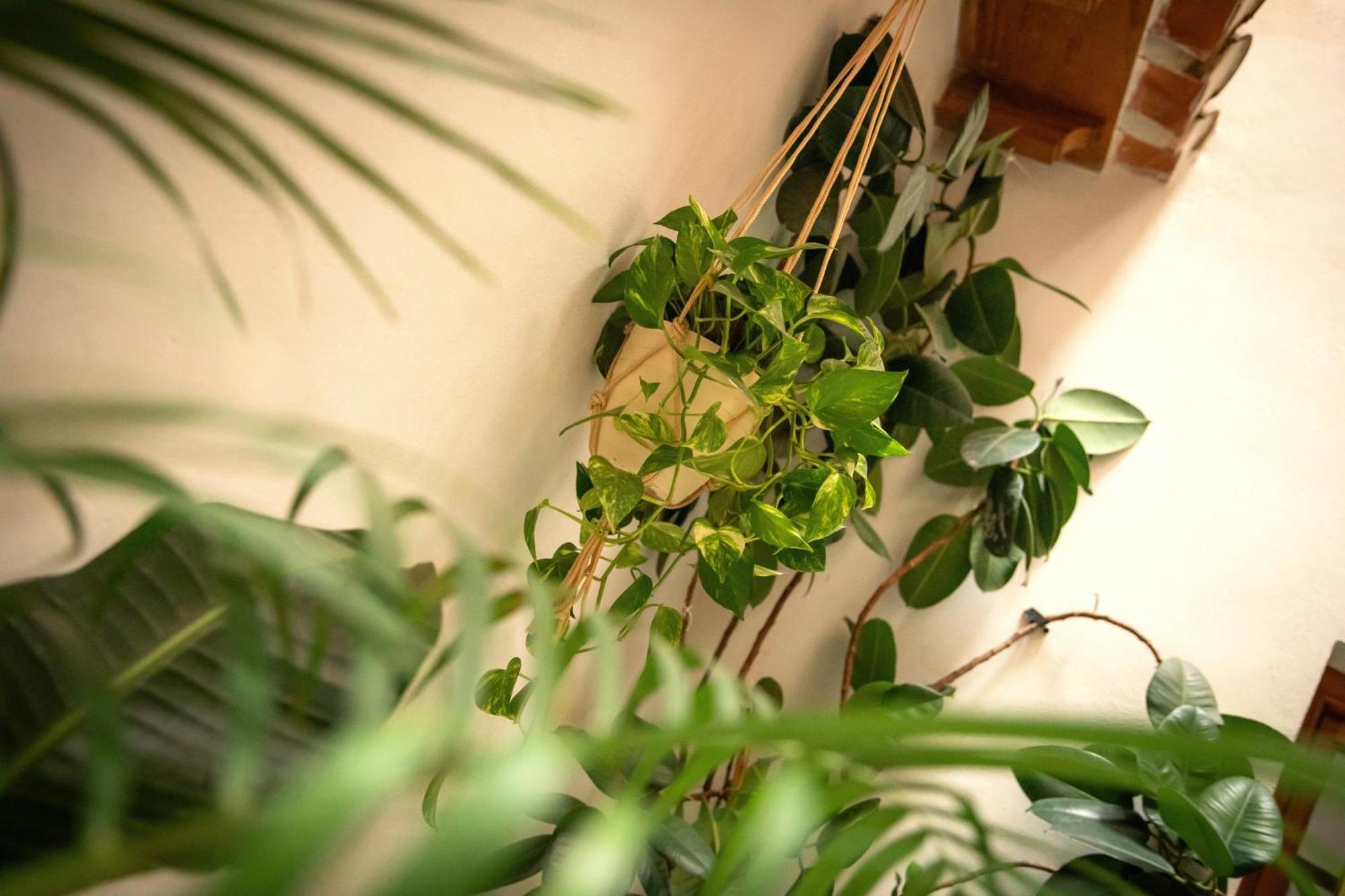 Apartamentos Vita Center Granada Luaran gambar